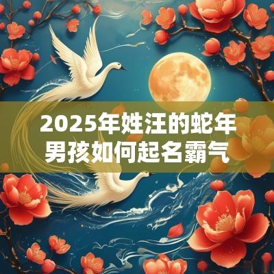 2025年姓汪的蛇年男孩如何起名霸气大方的男孩名字