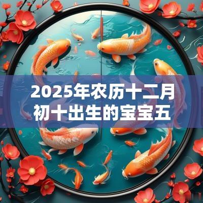 2025年农历十二月初十出生的宝宝五行旺缺八字起名