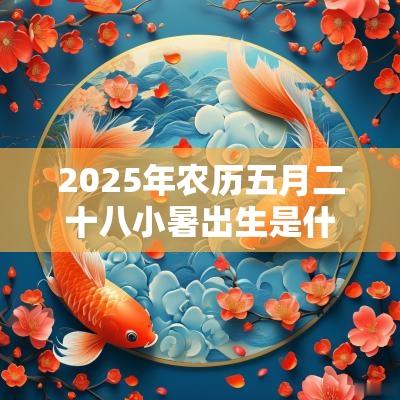 2025年农历五月二十八小暑出生是什么命怎样取名好