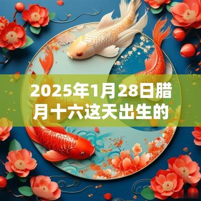 2025年1月28日腊月十六这天出生的女生命运怎么样