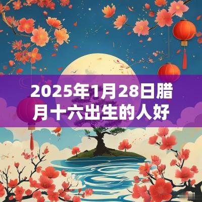 2026年1月28日腊月十六出生的人好不好命运分析