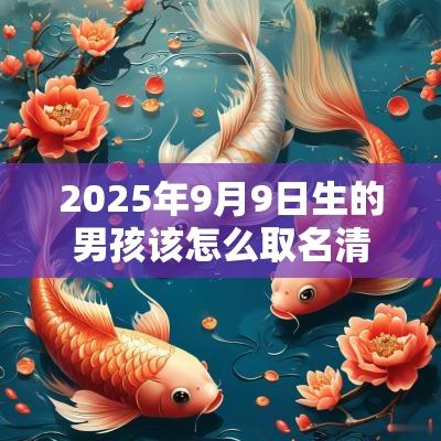 2025年9月9日生的男孩该怎么取名清新淡雅的名字