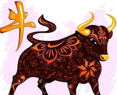 2025年中遭遇犯太岁的生肖们应该注意什么