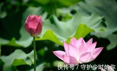 2025年事业爱情双丰收的生肖 生活越过越顺