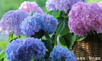 1982年4月29日晚上21-23点出生性格、运势和命运
