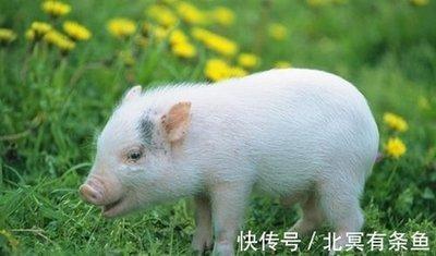 2025年富甲一方的3大生肖 想不发财都不行