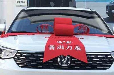 2025年二月初十的日子提车好不好