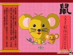 1984年属鼠的人2025年财运运势