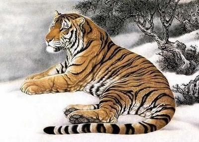 1974年属虎2025年上半年运势及运程