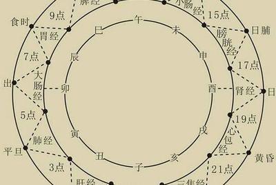 1982年5月26日中午11-13点出生性格、运势和命运