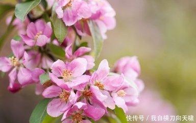 2025年五月贵人运事业顺畅的生肖