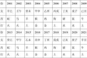 2025年五行属什么命 2025年属什么生肖