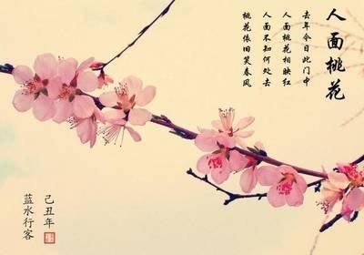 2025年人面桃花处处爆发的生肖