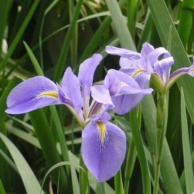 1998年11月21日晚上19-21点出生性格、运势和命运