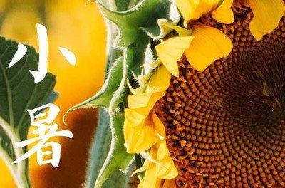 2025年小暑是什么时候 2025小暑节气是哪天