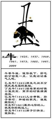 1985年10月3日下午15-17点出生性格、运势和命运