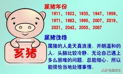 1982年7月12日晚上21-23点出生性格、运势和命运