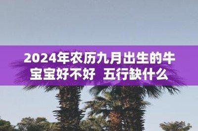 2025年属什么生肖 2025年的牛宝宝命好不好 2025年属什么生肖 2025年的牛宝宝命好不好