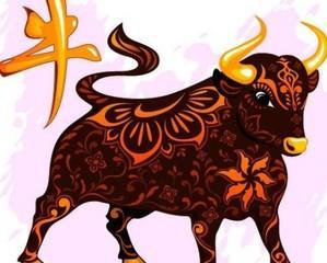 2025年属什么生肖年 2025年属牛人运势如何 2025年属什么生肖年 2025年属牛人运势如何