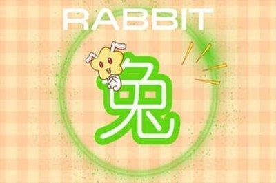 2025年属兔人增加财运方法有这几种