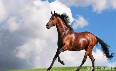 1982年7月27日中午11-13点出生性格、运势和命运