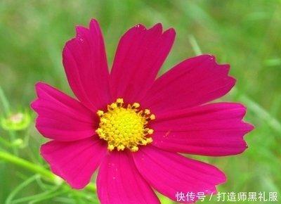 1998年属虎人2025年几月财运