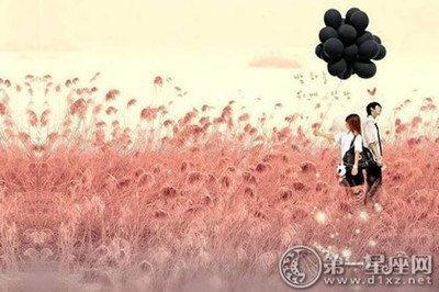 2025年属兔的幸运色是什么吉祥颜色