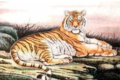 1998年属虎是什么命,1998年出生人的命运