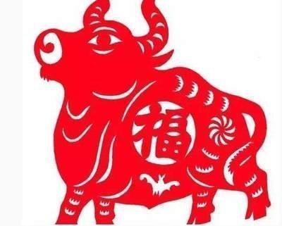 2025年属牛人的命运发展 生活中将会发生什么