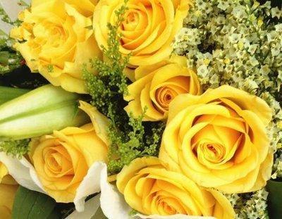 2025年属牛人的桃花运如何在哪些月份最旺盛 2025年属牛人的桃花运如何在哪些月份最旺盛