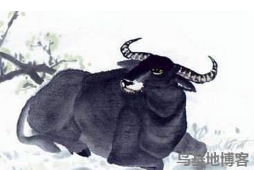 2025年属牛本命年运气如何带什么吉祥物好运气