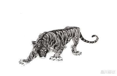 1982年9月15日下午15-17点出生性格、运势和命运