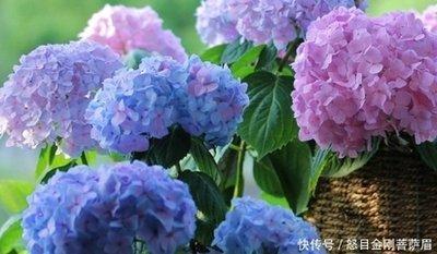 1982年9月18日晚上21-23点出生性格、运势和命运