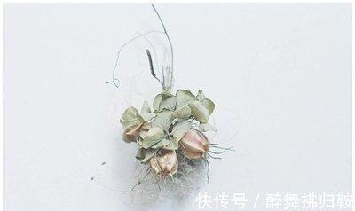1990年12月30日上午9-11点出生性格、运势和命运