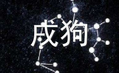 2025年属狗人的全年运势 蛇年生肖狗运势怎样