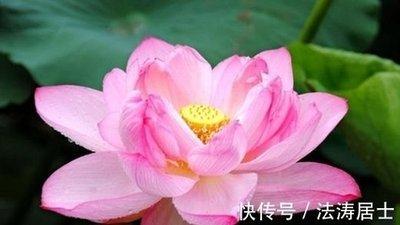 2025年属狗在寻找另一半是怎样的