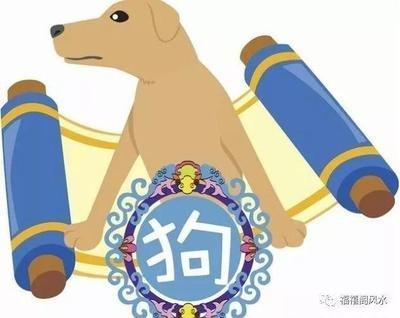 1982年出生的人是否会在2025年中遭遇犯太岁