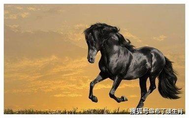 1990年1月20日晚上21-23点出生性格、运势和命运