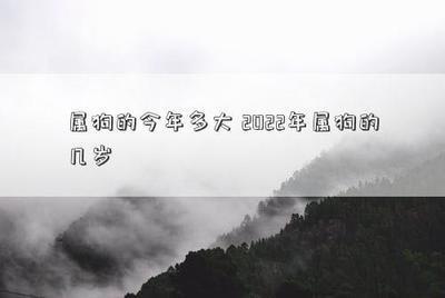 2025年属狗的今年多大 属狗的几岁