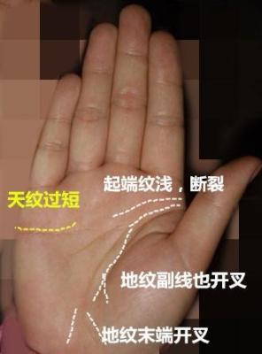 1976年10月23日晚上19-21点出生性格、运势和命运