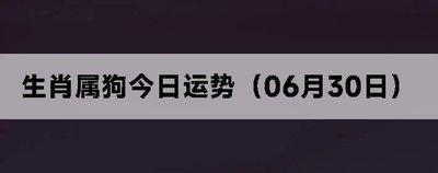 2025年属狗的运势和财运好不好