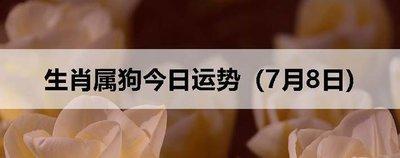 2025年属狗的运势和财运好不好