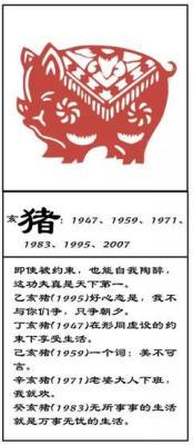 1983年10月14日下午15-17点出生性格、运势和命运