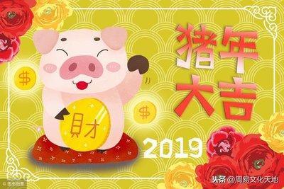 2025年属猪本命年，本命年运势禁忌有哪些