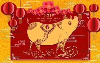 2025年属猪本命年，本命年运势禁忌有哪些