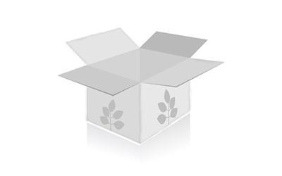 1999年属兔的属相婚配表最佳配偶