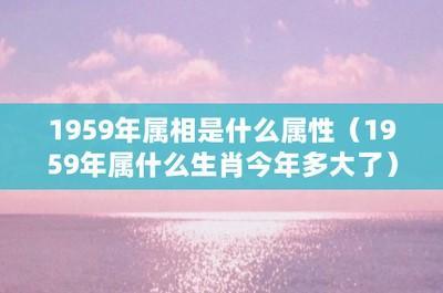1983年11月13日晚上19-21点出生性格、运势和命运