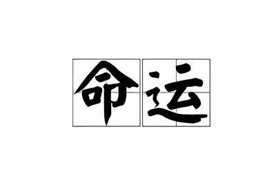 1983年11月14日下午15-17点出生性格、运势和命运