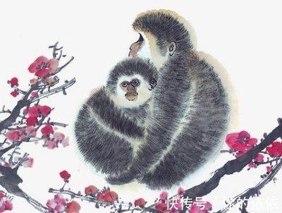 2025年属猴是不是很走运 哪些方面最走运
