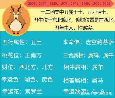 1976年6月25日晚上21-23点出生性格、运势和命运